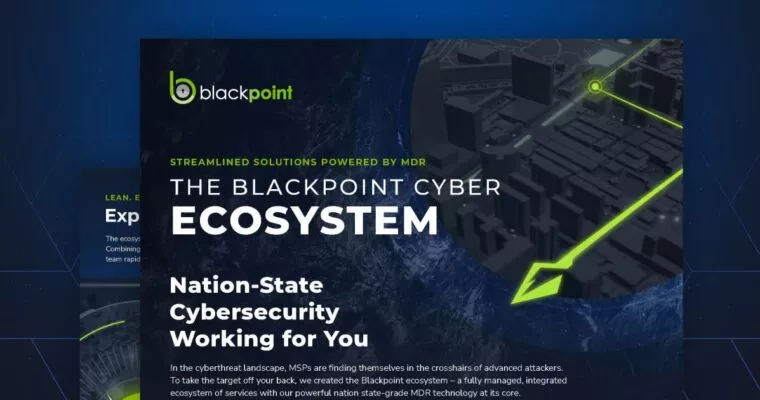 blackpoint cyber ecosystem slick sheet thumbnail
