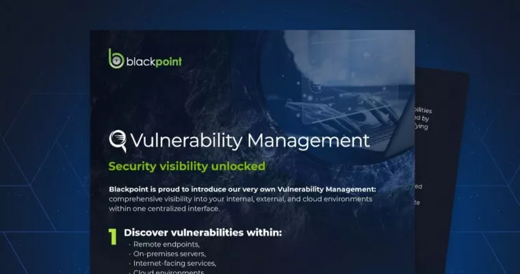 Blackpoint Cyber Vulnerability Management Slick Sheet