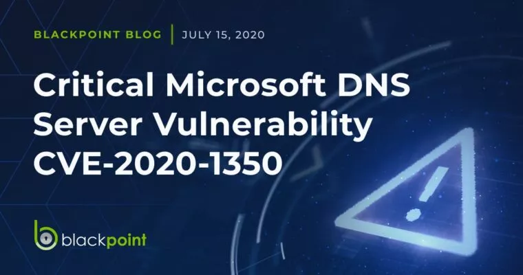 Blackpoint blog post about critical Microsoft DNS server vulnerability