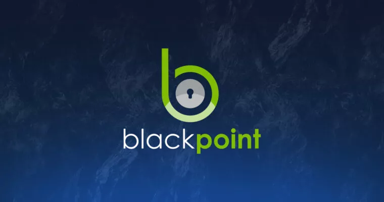 Blackpoint cyber logo on mountain background