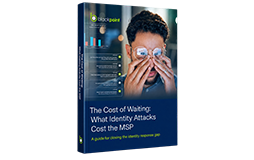 The cost of waiting - ITDR Ebook